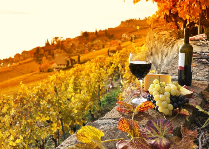 winery at sunset