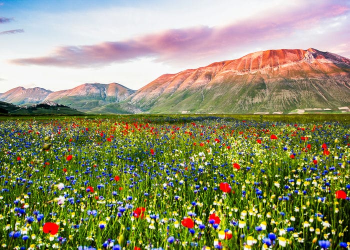 Piana grande castelluccio