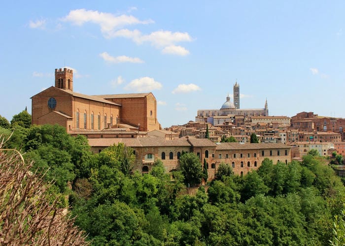 siena basilica of san domenico
