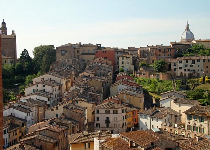 siena view