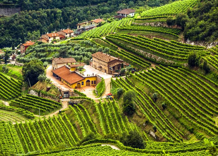 italian winery Valpolicella