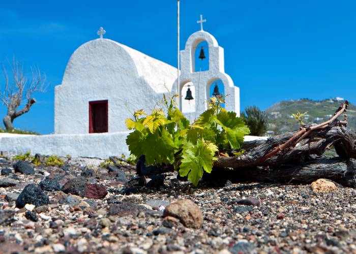 santorini vine next to church Panos Karas shutterstock