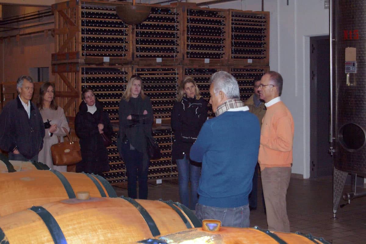 nemea wine tour from nafplio